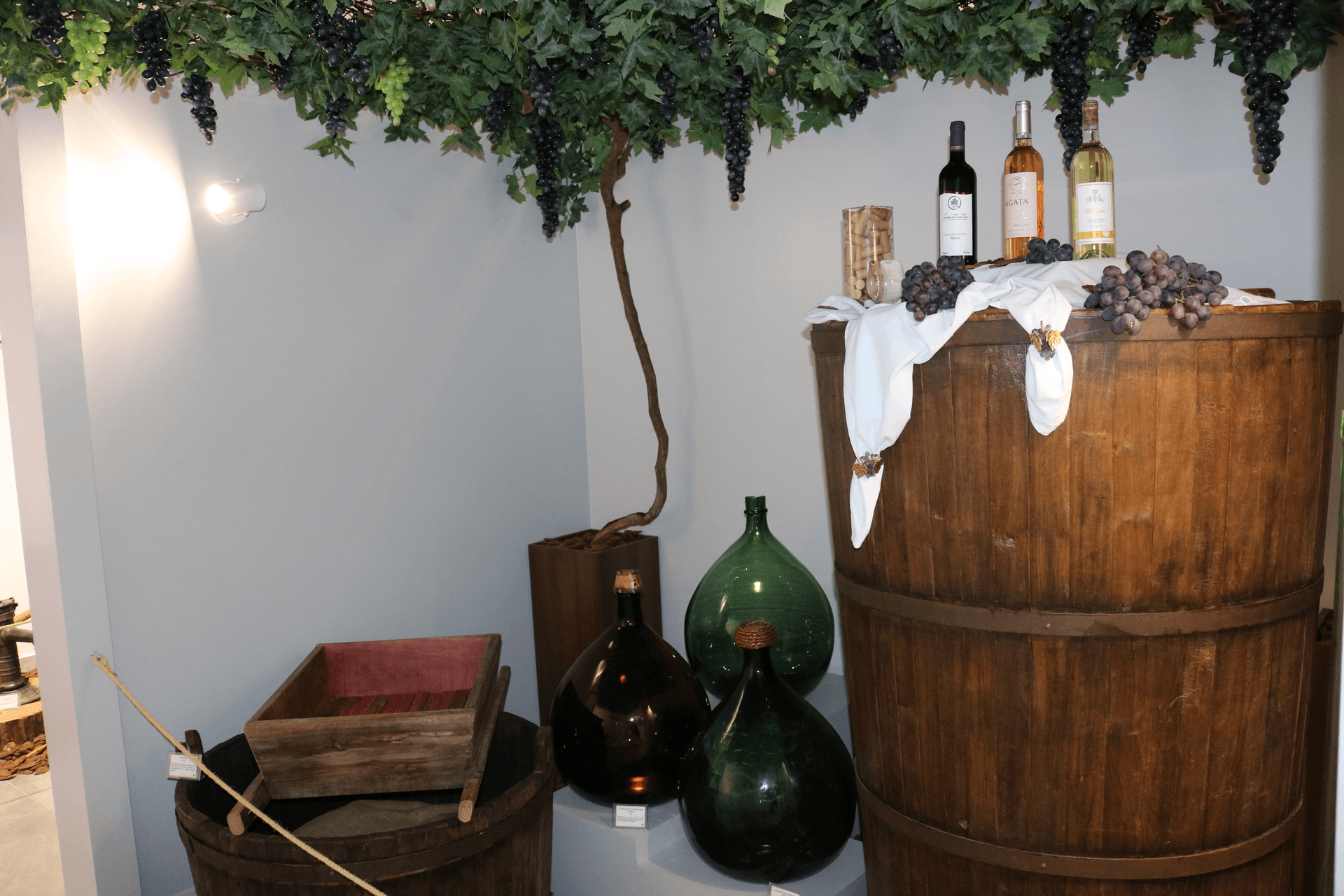 Viticultura e Tradições
